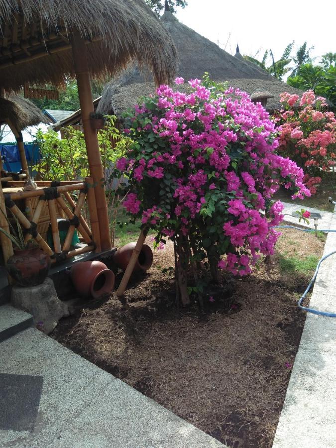 Tua Tua Keladi Bungalows Gili Air Eksteriør billede